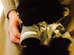 -森波拉火山温泉