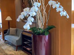 -上海明天广场JW万豪酒店