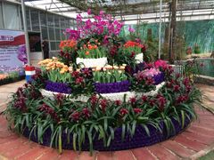 iphone_upload_pic-石家庄市植物园