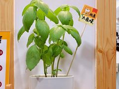 -呷贺盐酥鸡(抄纸巷店)