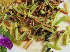 -东哥紫阳蒸盆子(旺座·现代城店)