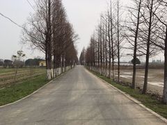 -嘉北郊野公园