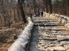 -阳台山自然风景区