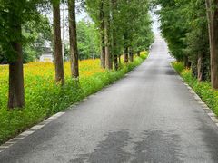 -广富林郊野公园