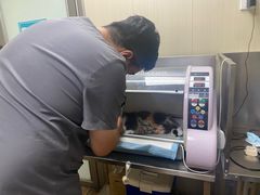 -中农大我爱我爱24h动物医院·中医针灸·猫专科·骨科医疗中心(双井店)
