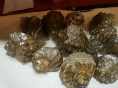 android_upload_pic-郭记原生态烤羊腿(长宁路店)