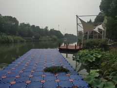 -太湖湖滨国家湿地公园-停车场