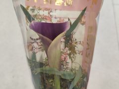 -BEAST野兽派(上海浦东嘉里城店)