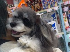 -FAELING PETS美天灵宠物(合生汇店)