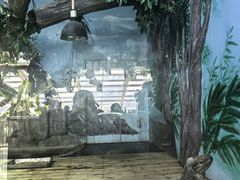 -石家庄市动物园