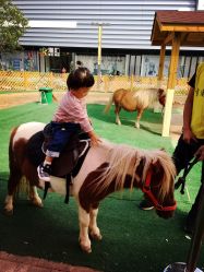 -萌宠亲子动物乐园(槐房万达店)