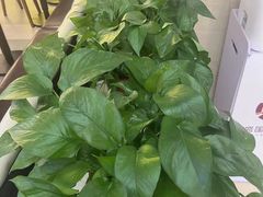 -东园小馆·早茶·淮扬小炒(三盛广场店)