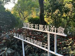 -云溪植物园