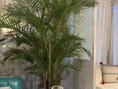 -秀儿家の小确幸花园西餐厅