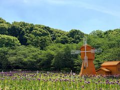 -苏州上方山国家森林公园