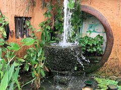 -园林美食城·本土农家菜(杨和镇店)