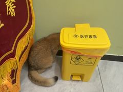 -悦宠动物医院(京丰分院)