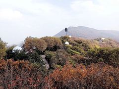 -紫金山天文台