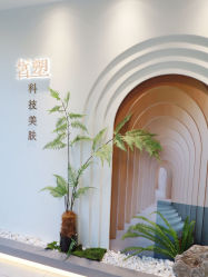 -皙塑美肤·spa