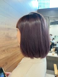 -程Studio