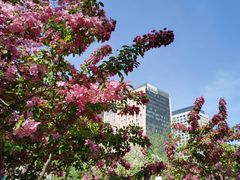 -元大都城垣遗址公园