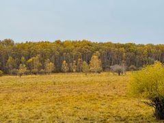 -塞罕坝国家级自然保护区