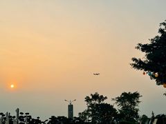 -空港花田景区