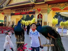 -西双版纳勐泐文化旅游区