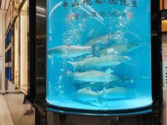 -谭厨中山传家菜.乳鸽.脆鲩鱼(华强北中航城店)
