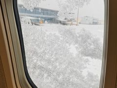 -苏氏牛肉面(机场店)