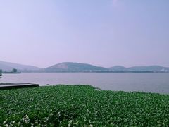 -长广溪湿地公园