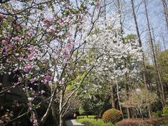 -徐家汇源景区-衡山公园