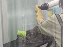 -爱洗澡的猫(望京店)