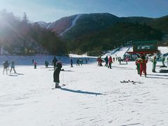 -亚布力新体委滑雪场