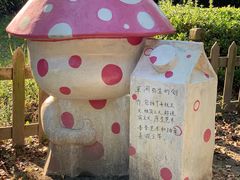 -上海都市菜园