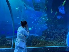 -威海华夏城景区