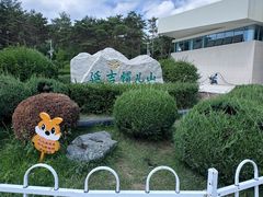 -帽儿山国家森林公园