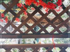 -随意茶庄·地道杭帮农家菜(梅家坞店)