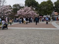 -自然谷恐龙园