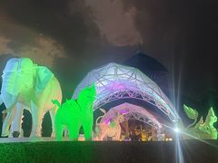 -清迈夜间动物园