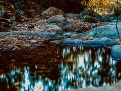 -梧桐山风景名胜区