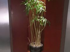 -台鄉缘 ·小海鲜·台州菜(桃林路店)