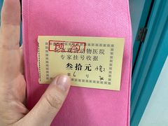 -北京观赏动物医院·24小时大型综合·猫专科·异宠专科