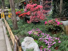 -惠山古镇·寄畅园