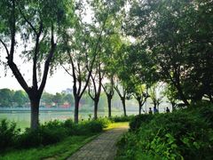 iphone_upload_pic-楚秀园