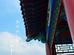 -莲花池公园