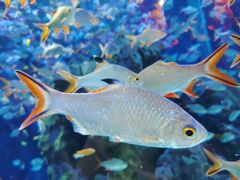 -成都浩海立方海洋公园