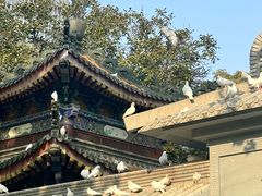 -西安大兴善寺