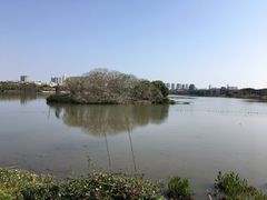 -海珠湖公园