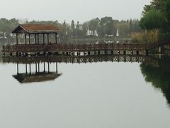 -上海市保健医疗中心(华东疗养院)